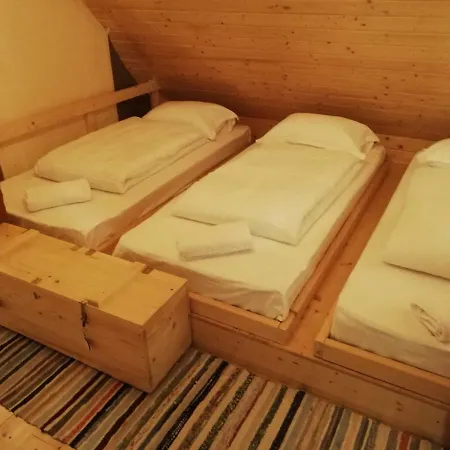 Zozo House Brasov
